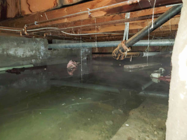 Professional Water damage restoration in MD