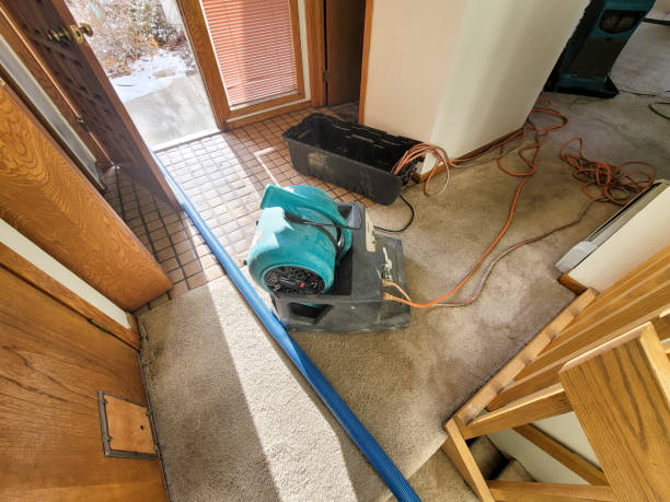 Best Water damage restoration company  in Cambridge, MD