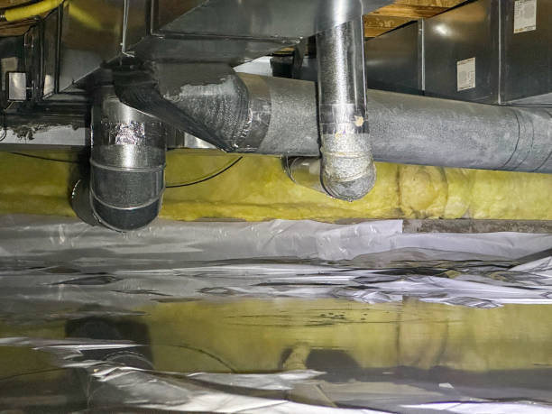 Best Local water damage restoration  in Cambridge, MD