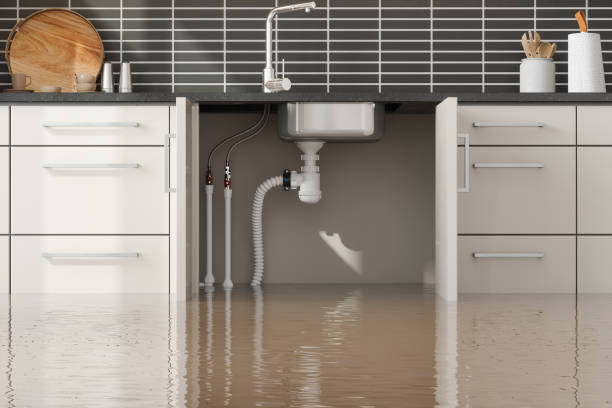 Best Basement water damage restoration  in Cambridge, MD