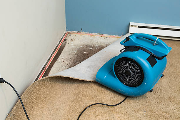 Best Flooded house restoration  in Cambridge, MD